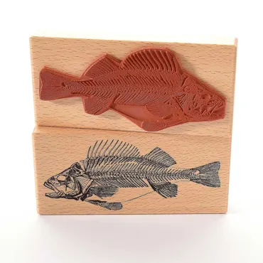 Motivstempel-Fisch Fossil