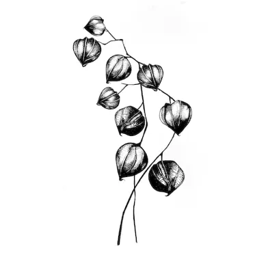 Lavinia Stamps-Chinese Lantern