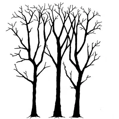 Lavinia Stamps-Spring Trees