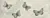 1840-00-108-Z.jpg