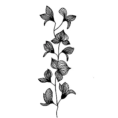 Lavinia Stamps-Orchid