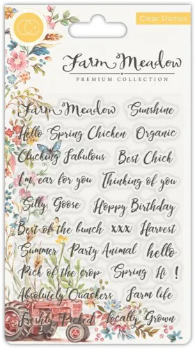 craft-consortium-sentiments-clear-stamps-ccstmp028.jpg
