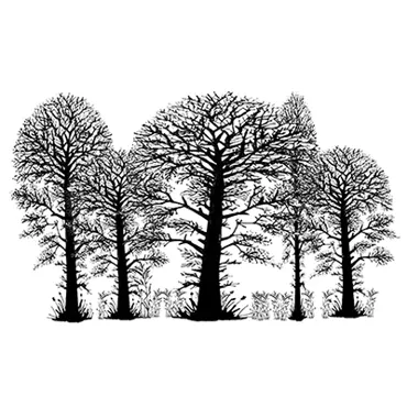 Lavinia Stamps-Trees