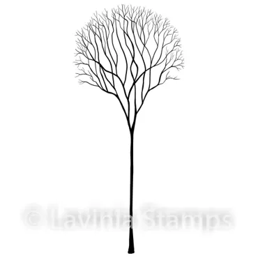 Lavinia Stamps-Skeleton Tree