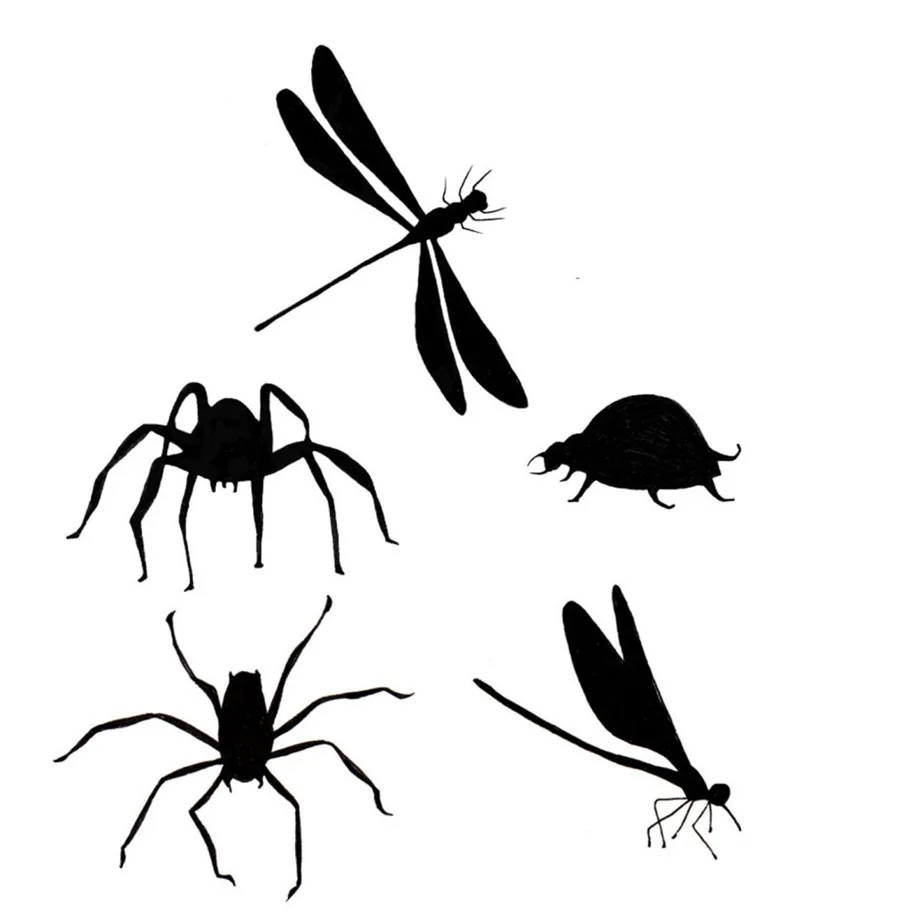 Lavinia Stamps-Bugs