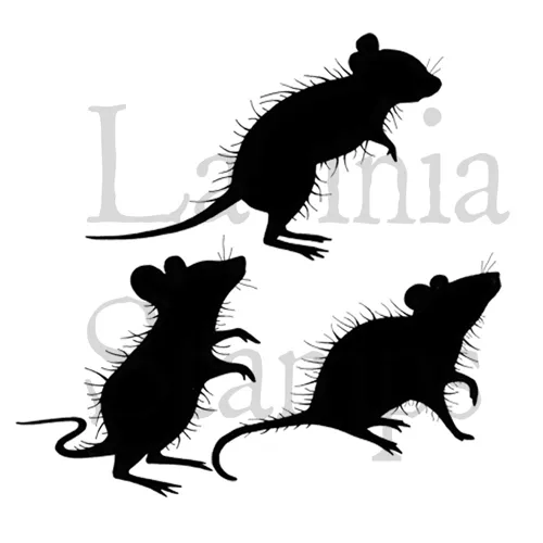three-woodland-mice.jpg