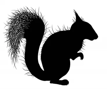 Lavinia Stamps-Red Squirrel