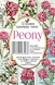 decorer-peony-paper-pack-7x108cm-m55.jpg