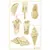 zestaw-tekturek-summer-vibes-02-7szt--2.jpeg