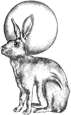 Crafty Individuals Hare and Moon Unmounted Rubber Stamps