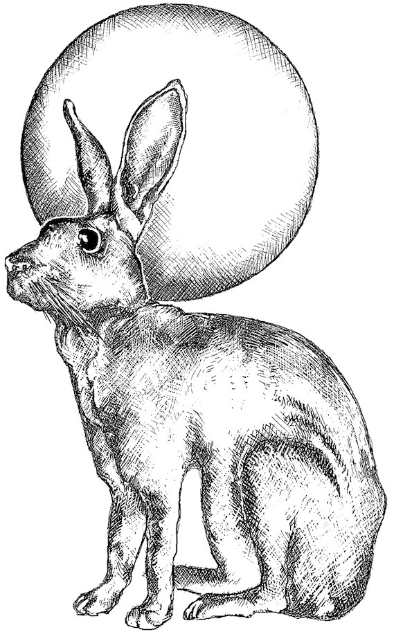 Crafty Individuals Hare and Moon Unmounted Rubber Stamps 