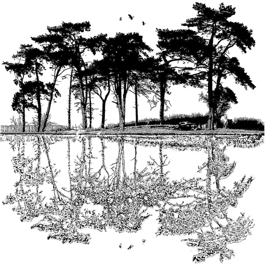 Crafty Individuals Dawn Reflections Unmounted Rubber Stamps