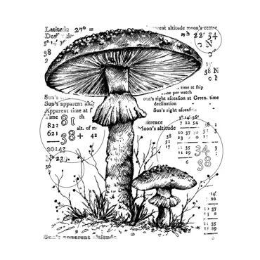 Crafty Individuals Counting Toadstools Unmounted Rubber Stamps
