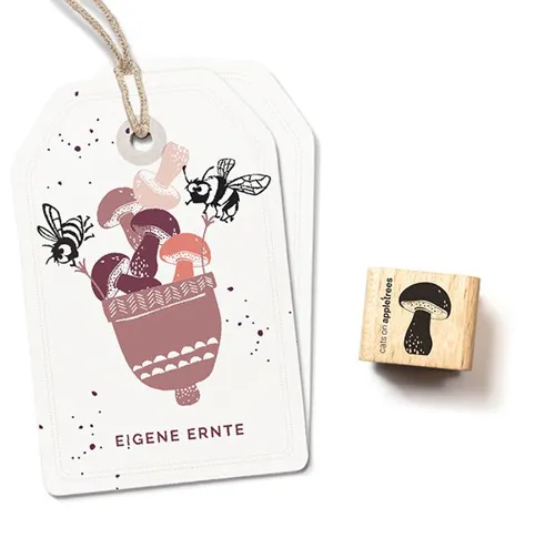 stempel-pilz-4-kleiner-steinpilz.jpeg
