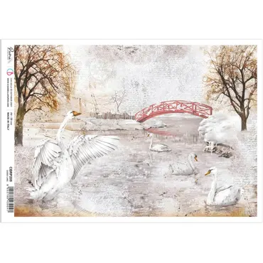 CIAO BELLA - MEMORIES OF A SNOWY DAY-RICE PAPER A4 SWAN LAKE