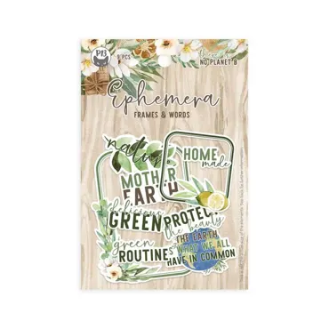 P13 - EPHEMERA SET FRAMES AND WORDS THERE IS NO PLANET B, 9PCS