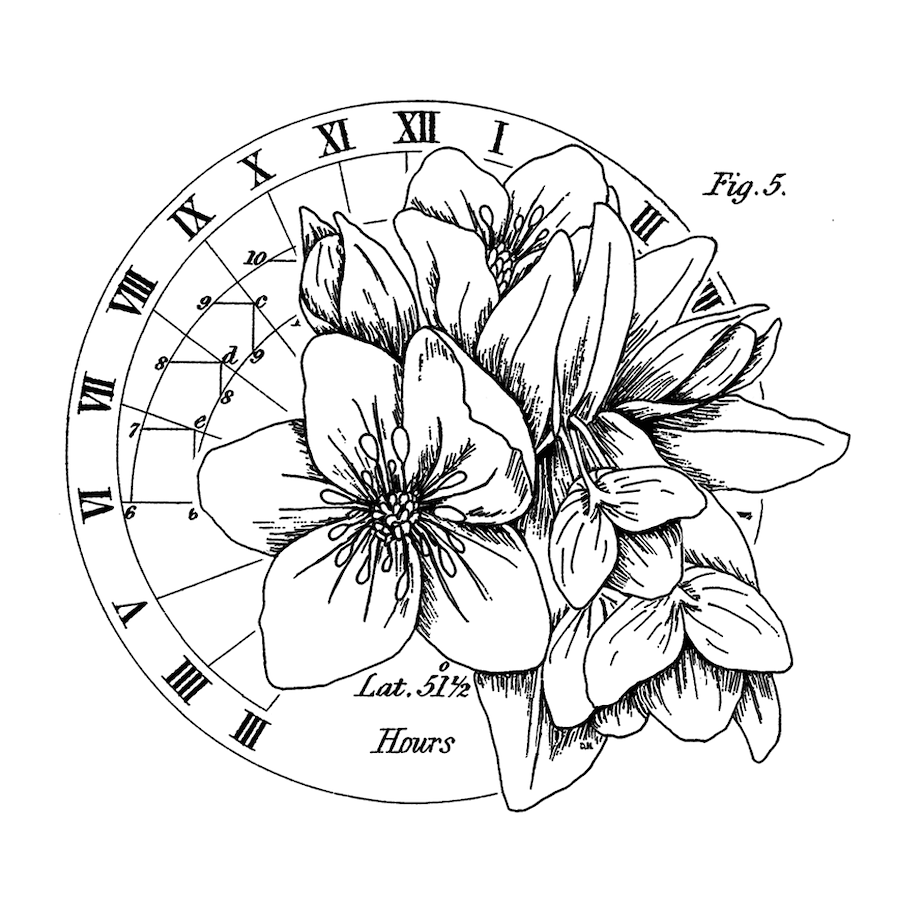 Crafty Individuals The Circle of Latitudes Unmounted Rubber Stamps 