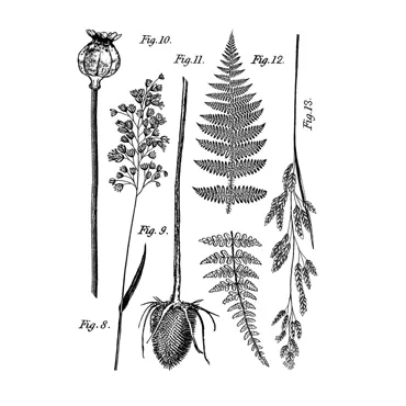 Crafty Individuals Figs. 8-13 Unmounted Rubber Stamps