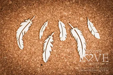Laserowe LOVE - Chipboard - Feathers Malini Plane Indiana