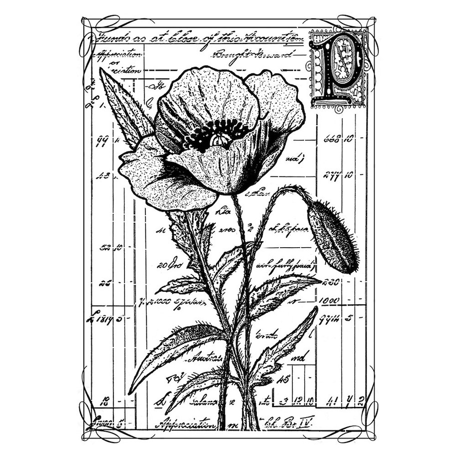 Crafty Individuals Pretty Poppy Unmounted Rubber Stamps