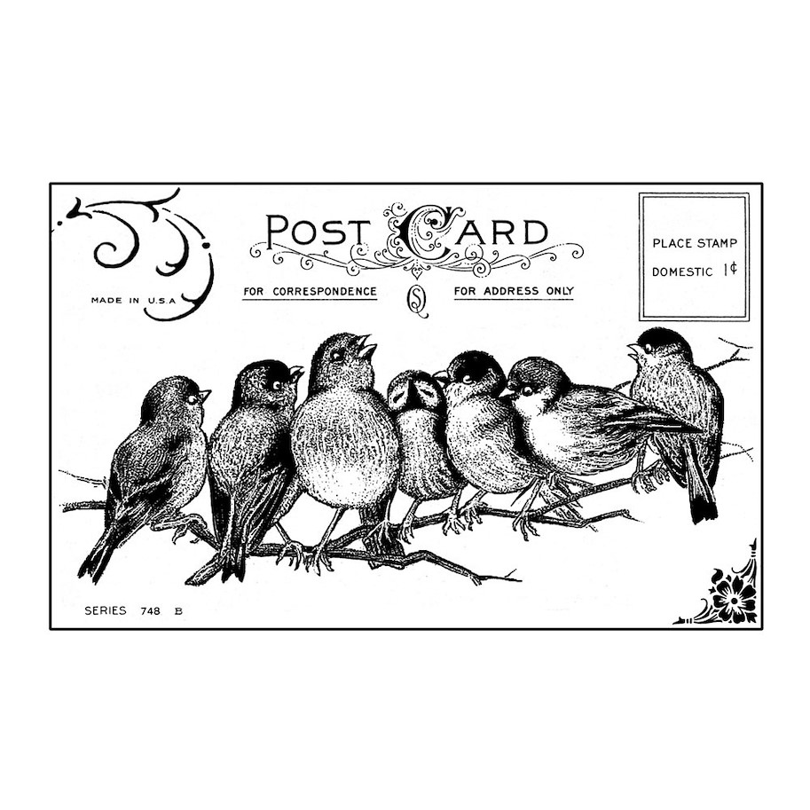 Crafty Individuals Seven Cheeky Songbirds Unmounted Rubber Stamps