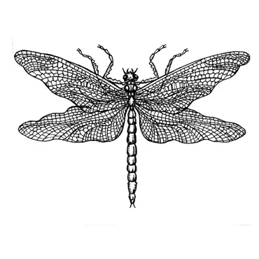 Crafty Individuals Dragonfly Drawing Unmounted Rubber Stamps