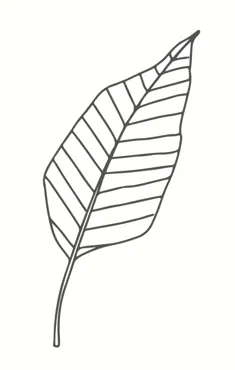 May & Berry Rubber Stamps Leaf Stylized White