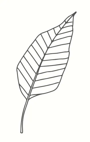 colop-leaf-stylized-white-m-b-rubber-stamps-mb0010.jpeg