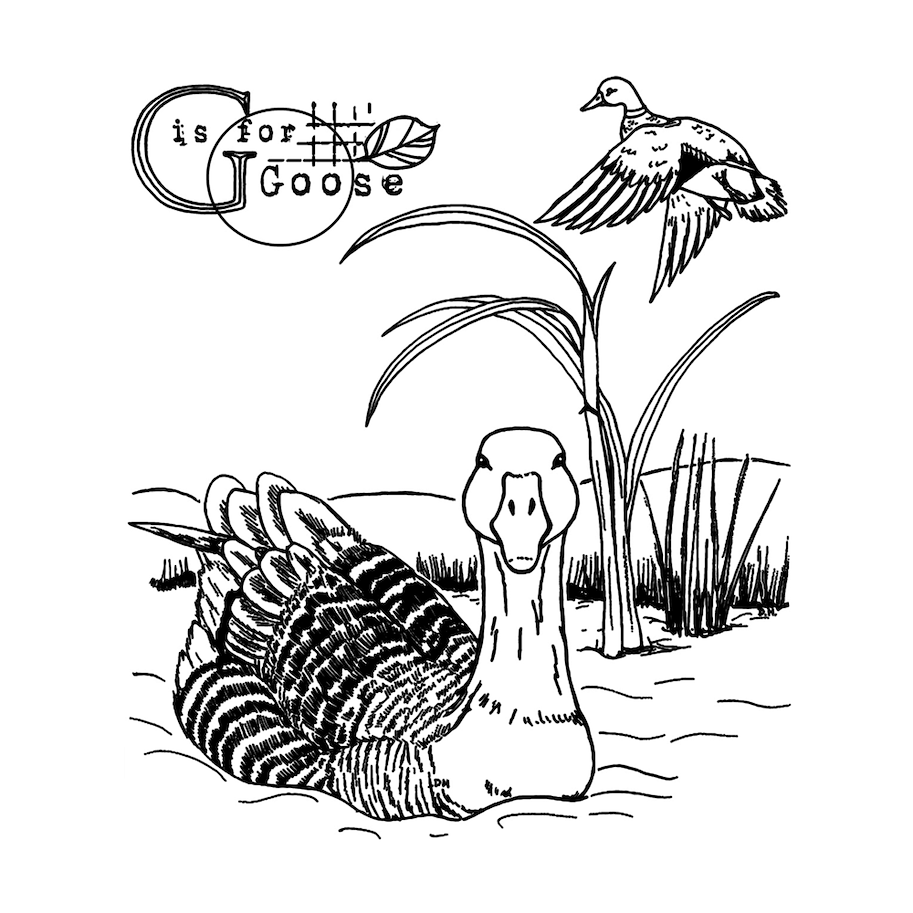 Crafty Individuals G is for Goose Unmounted Rubber Stamps