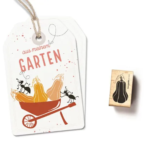 stempel-butternut-kuerbis.jpeg
