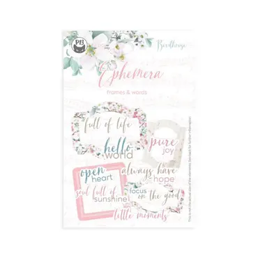 P13 - EPHEMERA SET FRAMES AND WORDS BIRDHOUSE, 12PCS