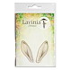 LAV802-Hare-Ears.jpg