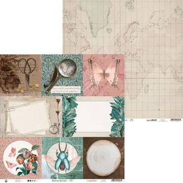 P13 - PAPER NATURALIST 05 12X12"
