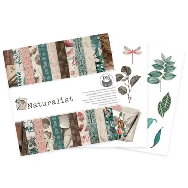 P13 - PAPER PAD NATURALIST, 6X6"