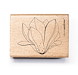 stempel-magnolienbluete-outline-1-offen-2.jpg