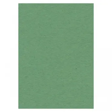 Card Deco A4 Cardstock 270g/10 Sheets Green