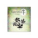 EASI-Lavinia_Stamps_LAV891-Silver-Leaves-Mini.jpg