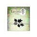 EASI-Lavinia_Stamps_LAV890-River-Leaves-Mini.jpg