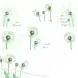 Pusteblume-Kopie.jpg