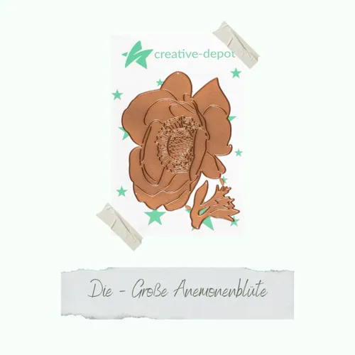 CD-Die-1293_Die-Grosse-Anemonenbl-te.png