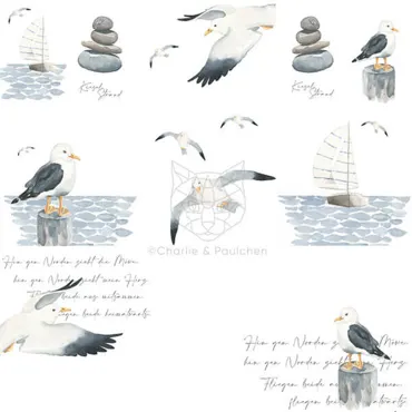 Charlie & Paulchen Design Cardstock Möwen Ausschneidebogen