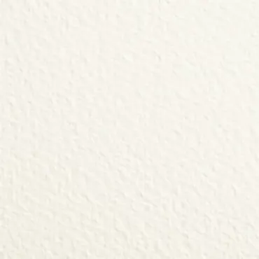 Charlie & Paulchen Premium Cardstock Offwhite ( 10 Bogen )