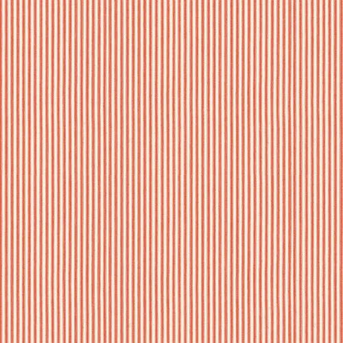 Leinen-gestreift-koralle.jpg