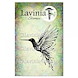 EASI-Lavinia_Stamps_LAV895-Hummingbird-Large-2.jpg