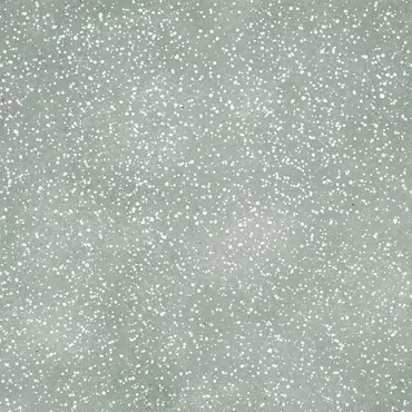 Charlie & Paulchen Design Cardstock Schneeflocken Frostgrün