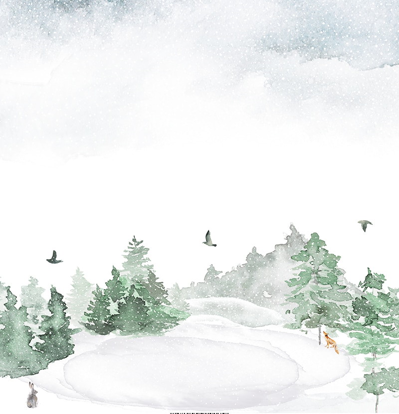 Charlie & Paulchen Design Cardstock Aquarell Eislauffläche