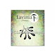 EASI-Lavinia_Stamps_LAV926-Mini-Mistletoe.jpg