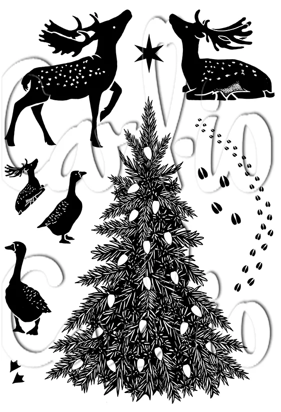 Card-io Evergreen Encounter A6 Clear Stamp Set 