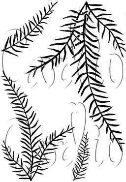 Card-io Christmas Branches A7 Clear Stamp Set