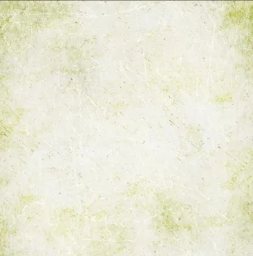 Charlie & Paulchen Design Cardstock Stone effect Schneeglöckchen